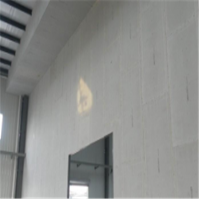临潭宁波ALC板|EPS加气板隔墙与混凝土整浇联接的实验研讨